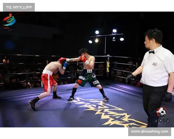 职业拳击赛事回合,职业拳击赛程